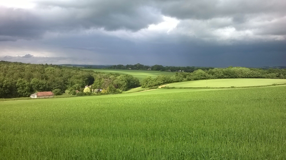 Others 5, Lower Bryanston Farm, Dorset