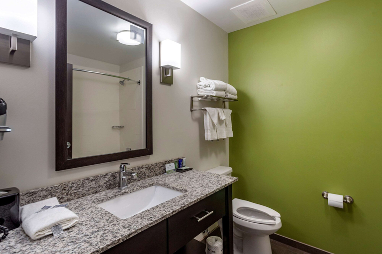 Bathroom 4, Sleep Inn Bowling Green North, Warren