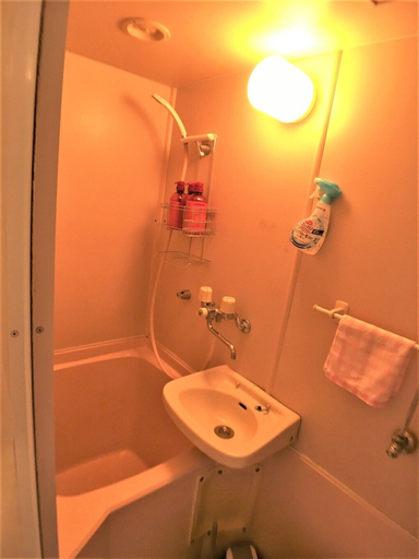 Bathroom, Bell Air OKUBO 203, Shinjuku