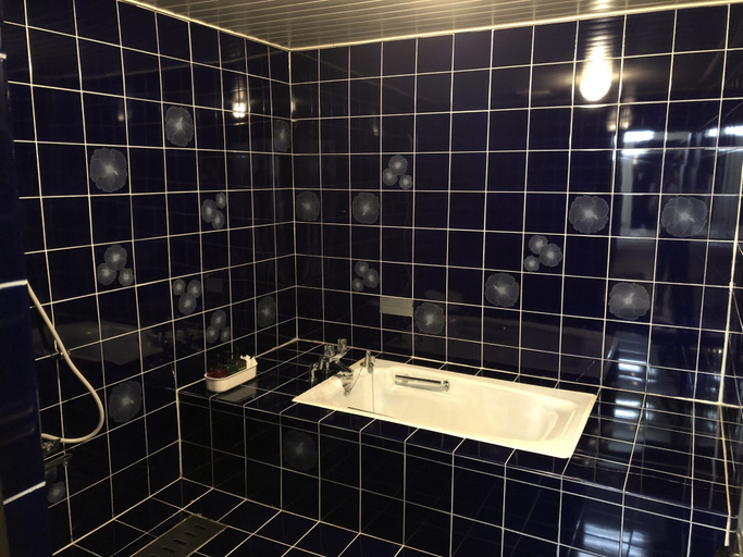 Bathroom 3, Hotel Arima Koukaen, Nishinomiya