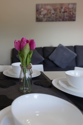Others 4, 1 Willows Apartment, Herefordshire
