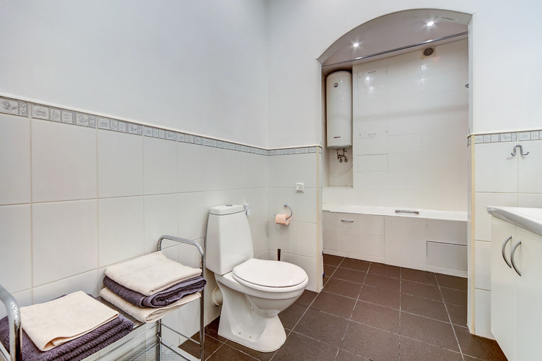 Bathroom 3, Home4day Central Cosy Flat, Sankt-Peterburg gorsovet