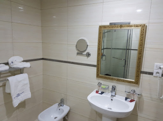 Bathroom 3, Al Mansour Palace, Mezghrane