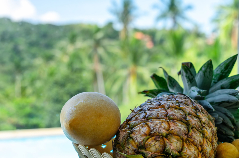 Food & Drinks 5, 3 Bedroom Sea View Villa Mikia SDV007 - By Samui Dream Villas, Ko Samui