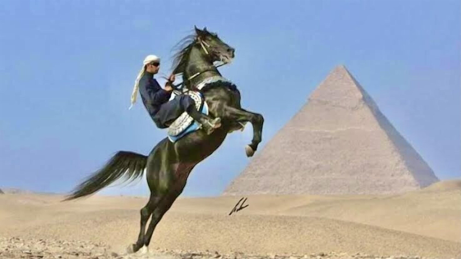 Others 4, Magic Pyramids View Accommodation, Al-Ahram