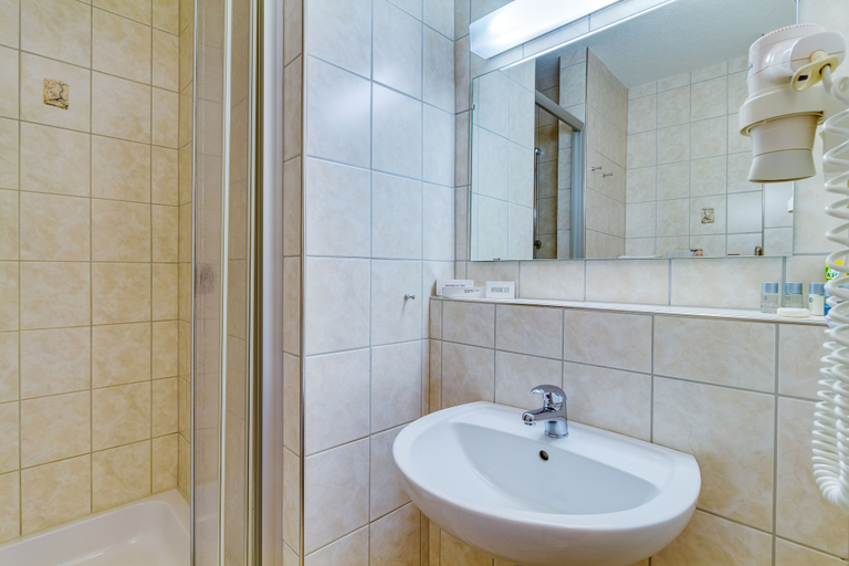 Bathroom 5, Panorama Ferien Hotel Harz                                                                 , Harz