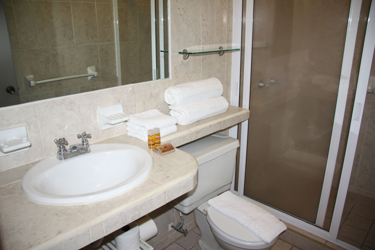 Bathroom, Amapas Apartments Puerto Vallarta, Puerto Vallarta