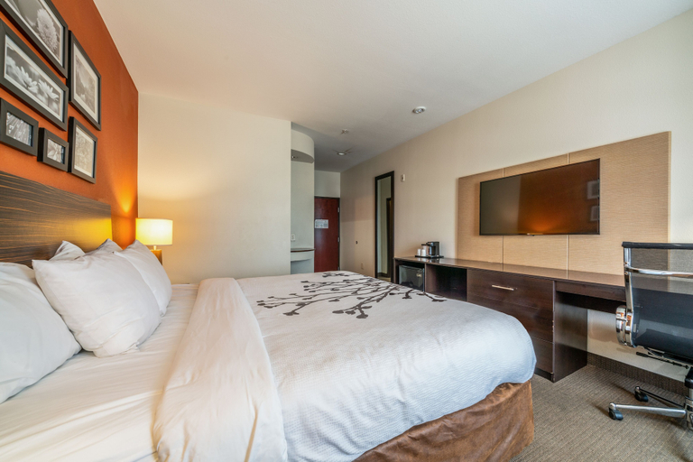 Bedroom 3, Rest Well Inn & Suites, Houston