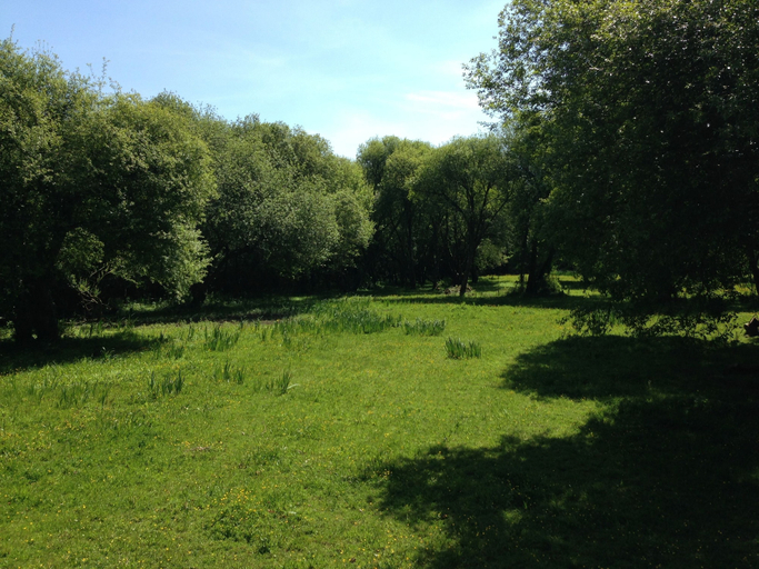 Others 5, Domaine du Roc, Morbihan