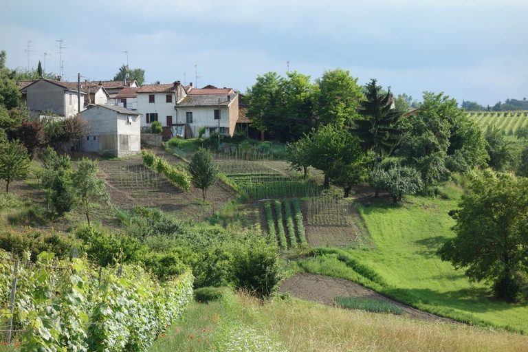 Others 5, Cascina Alberta, Alessandria