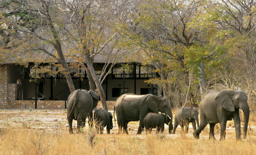 Others