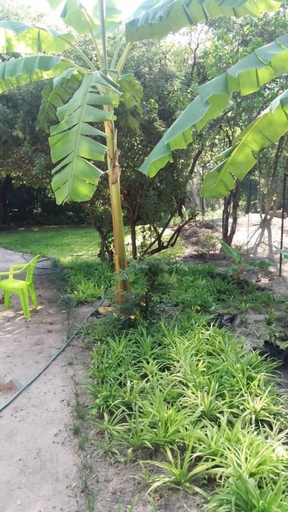 Others 4, Metswere B&B, Ngamiland East