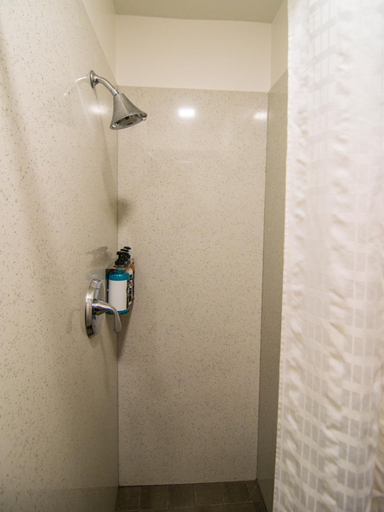Bathroom 4, The Bartlett Hotel and Guesthouse, San Francisco