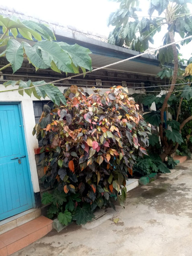 Others, Benliza Guest House - Adults Only, Gilgil
