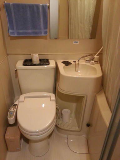 Bathroom 5, Hotel Hashimoto, Sapporo