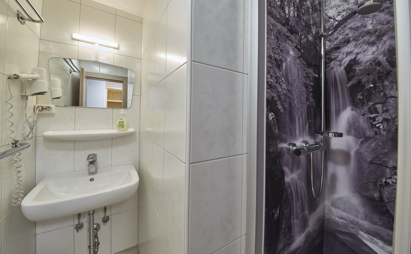 Bathroom 3, Ski & Bike Appartements Forsthaus, Zell am See