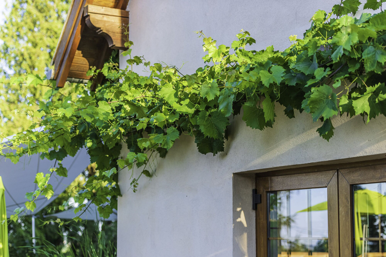 Exterior & Views 2, La Garenne, Bas-Rhin