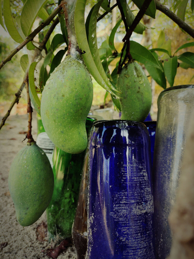 Food & Drinks, Achayans Homestay, Alappuzha