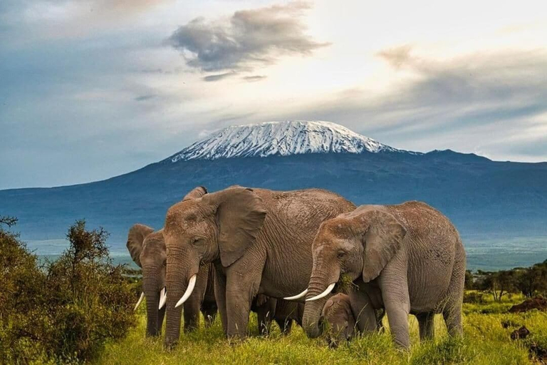 Others 4, Kimana Amboseli Camp, Kajiado South