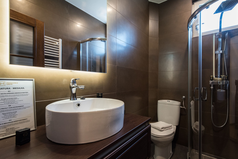 Bathroom 3, Pensiunea David, Targu Mures