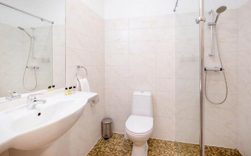 Bathroom 3, Yards of Capella, Sankt-Peterburg gorsovet