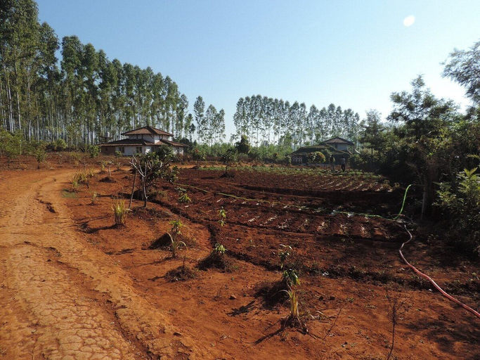 Others 5, Desia Eco Tourism Camp, Koraput