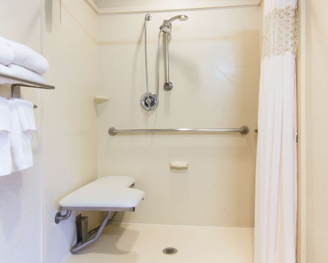 Bathroom 4, Hampton Inn & Suites Brownsville, Cameron