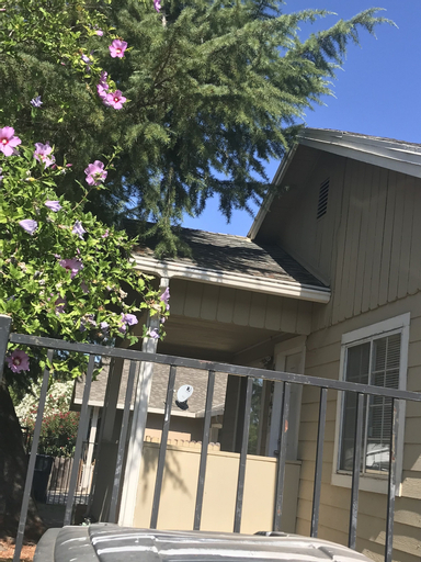WHOLE Family - WholeVille - Hostel, Sacramento