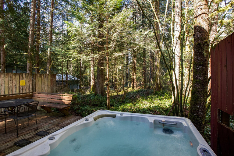 Sport & Beauty 4, 63MBR - Hot Tub - BBQ - Pets Ok - WiFi - Sleeps 6, Whatcom