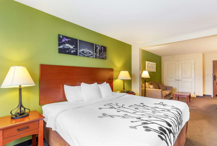 Bedroom 3, Sleep Inn & Suites Jacksonville West, Duval
