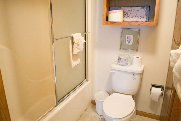 Bathroom 4, Gatlinburg Chateau Rentals, Sevier