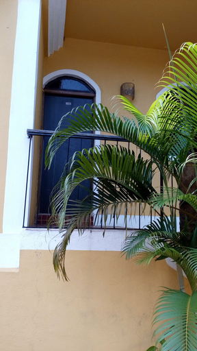 Exterior & Views 2, Castle House Palolem, South Goa