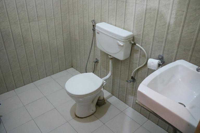 Bathroom 3, Hotel Peacock, Narayani