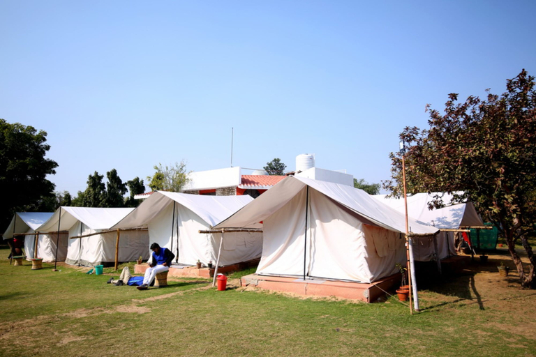 Others 4, Blowsom Farms, Gurgaon