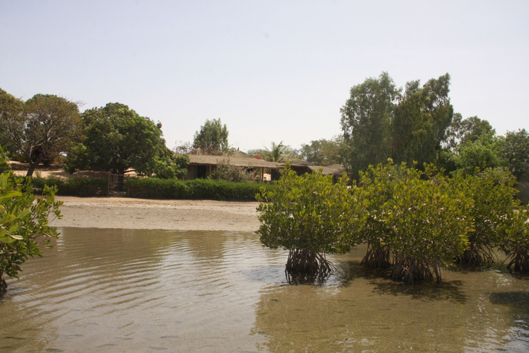 Others 5, Sarahma Lodge Simal, Fatick