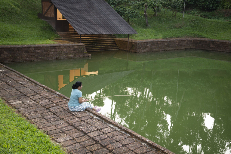 Sport & Beauty 3, Jeevess Retreat Wayanad, Wayanad