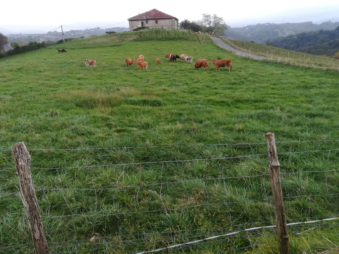 Others 5, Casa Rural Aristondo, Guipúzcoa