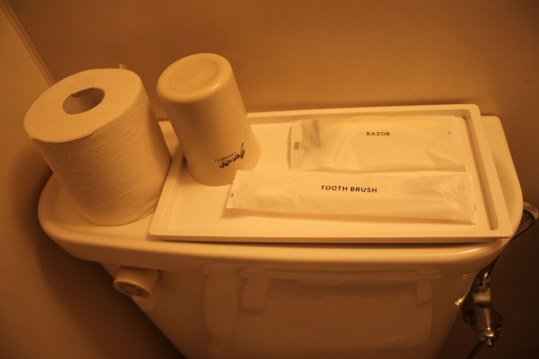 Bathroom 5, Hotel Tetora, Hakodate