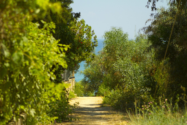 Others 4, Pyrgaraki Studios and Apartments, Ionian Islands