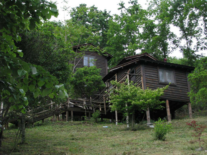 Primary image