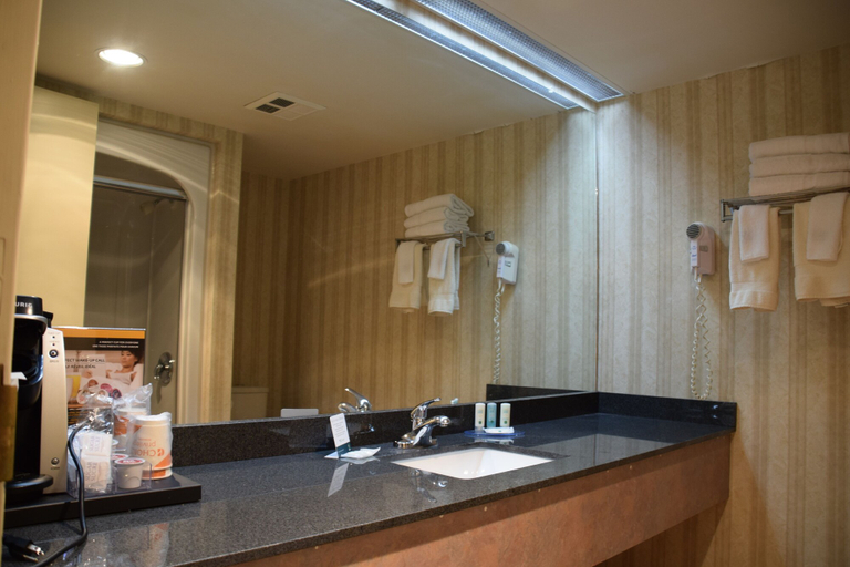 Bathroom 4, Rodeway Inn Festival, Perth