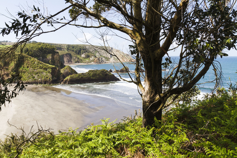 Others 3, Ruralsurf - Hostel, Asturias