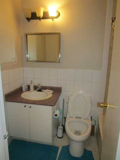 Bathroom 4, Toronto Furnished Living Scarborough, Toronto