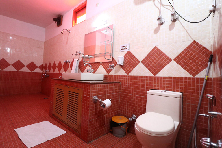 Bathroom 3, Hotel Royal Palace, Kullu