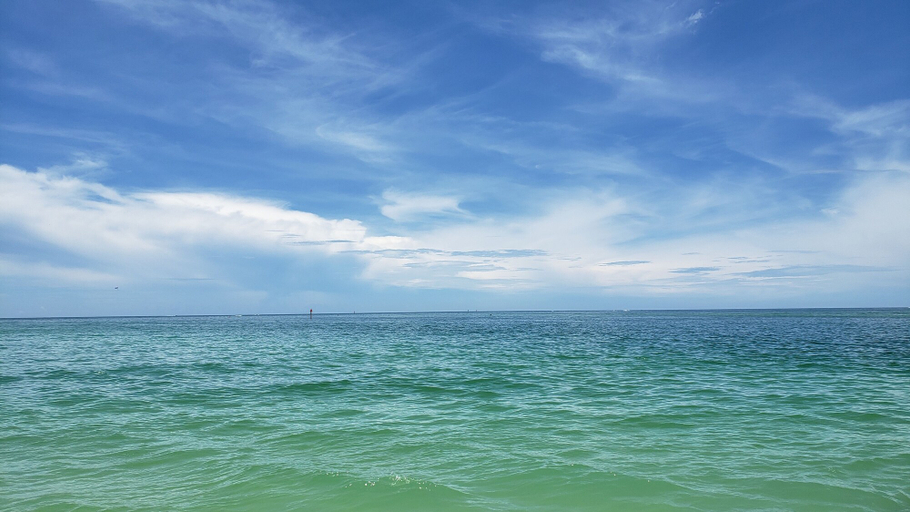 Others 4, Hotel Del-Fino, Pinellas
