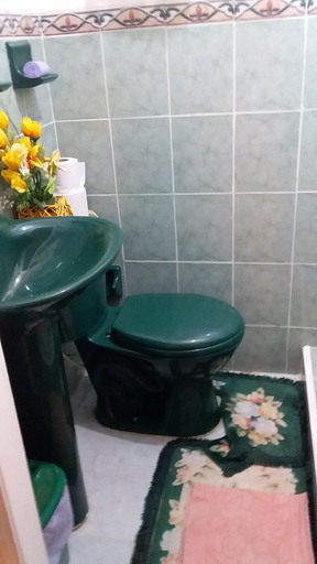 Bathroom, Room-green Sea Inn San Luis, San Andrés