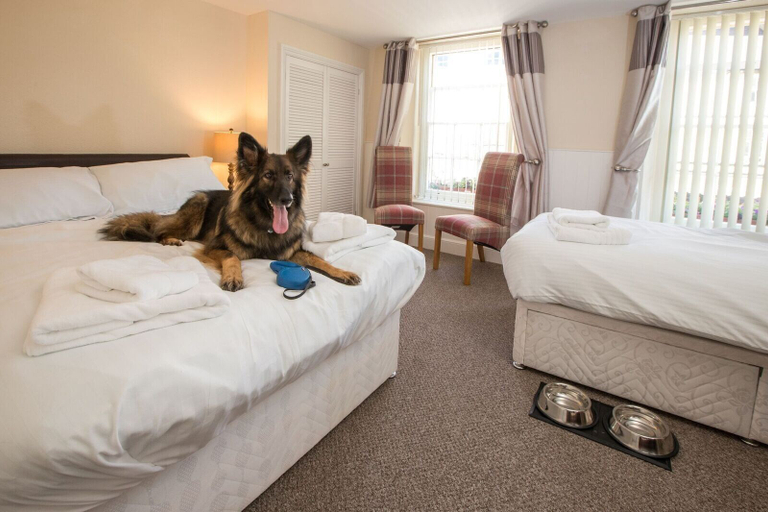Bedroom 2, The Royal Oak Hotel, Ceredigion