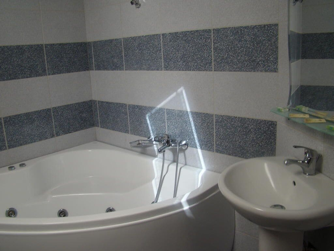 Bathroom 4, Pensiunea Floare de Colt, Dragoslavele
