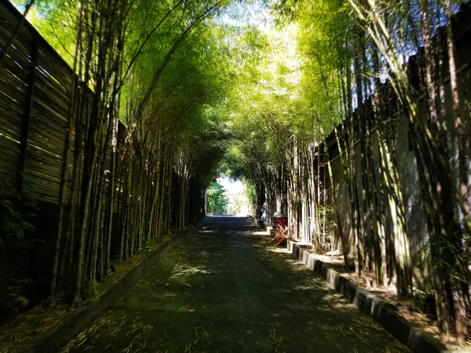 Others 5, Kampoeng Bamboo, Badung