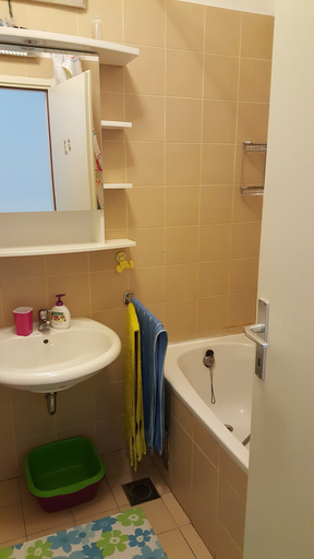 Bathroom 4, Apartment Tia, Pag